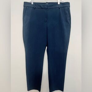 J. Crew Men's Deep Blue Chinos